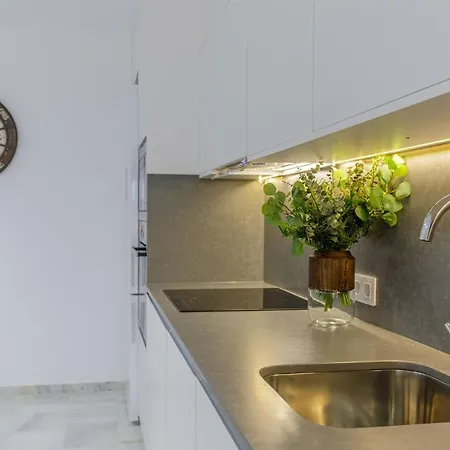 Apartment Living4malaga Centre Premium *